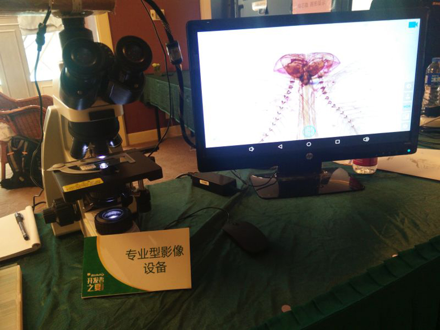 谈球吧(中国)-官方网站